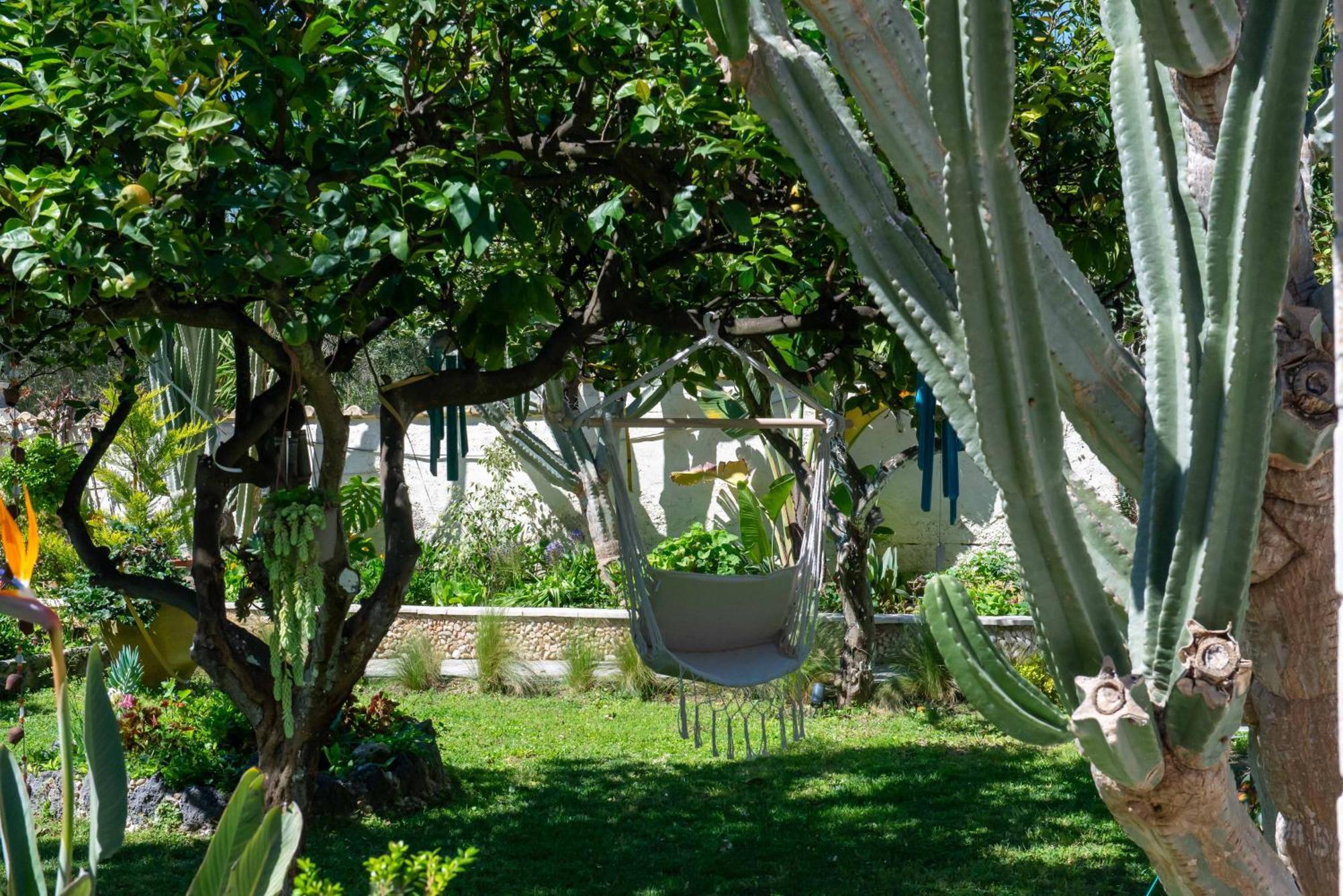 Alex Studios & Apartments Arillas  Dış mekan fotoğraf