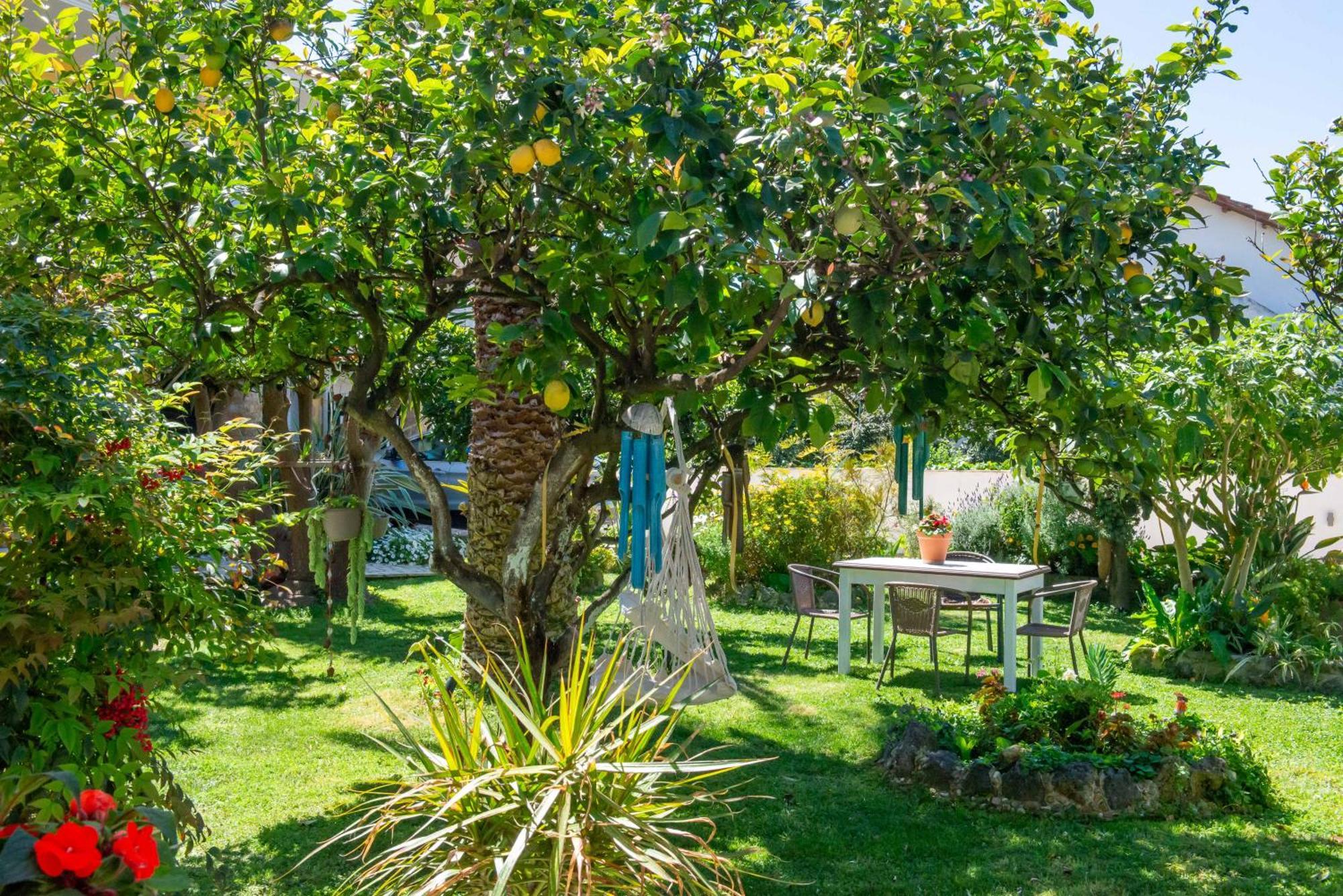 Alex Studios & Apartments Arillas  Dış mekan fotoğraf