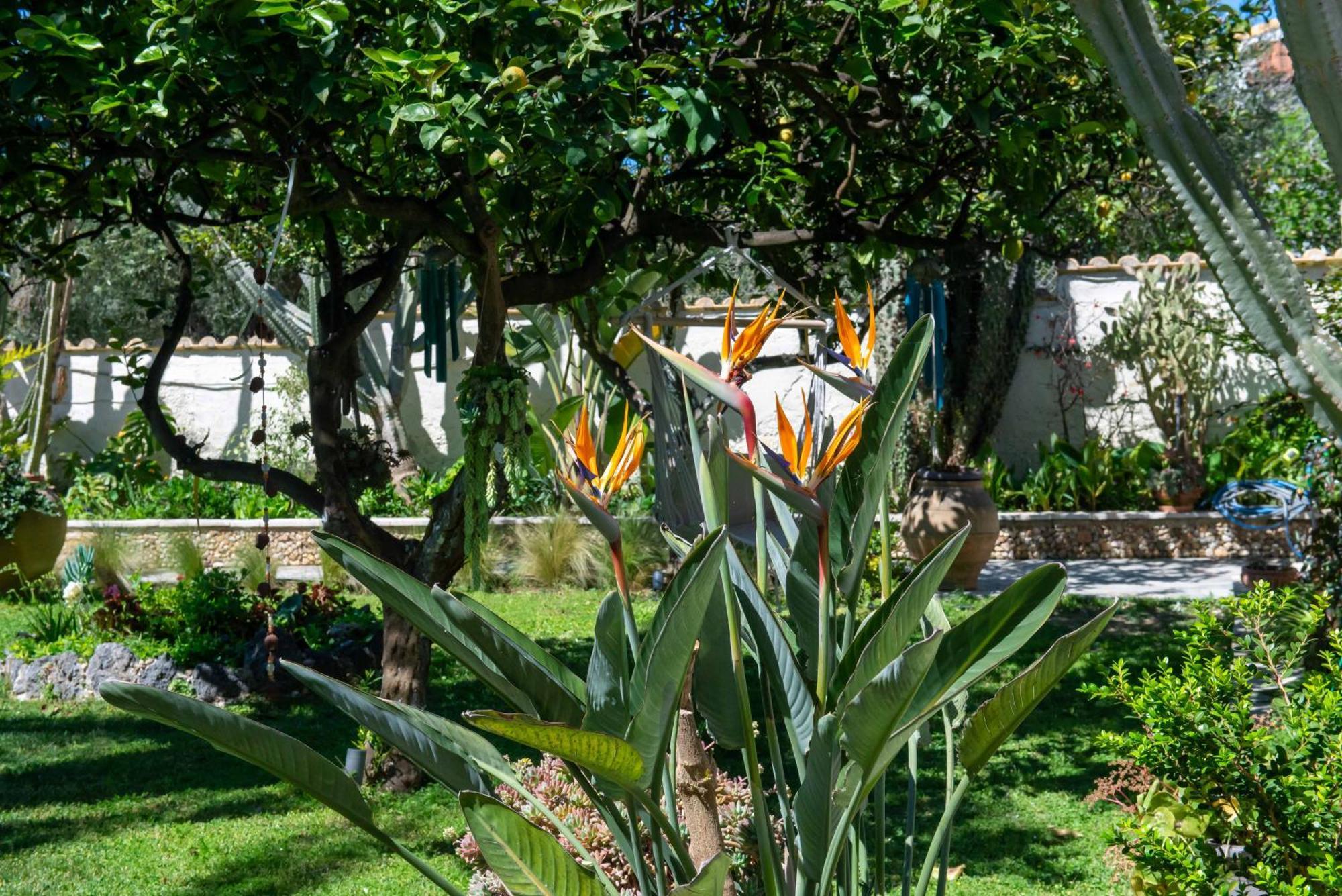Alex Studios & Apartments Arillas  Dış mekan fotoğraf